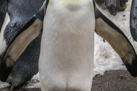 zoo _MG_0777