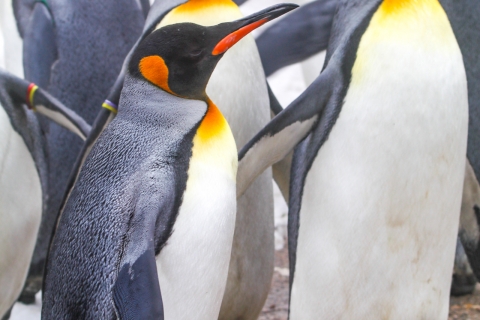 zoo _MG_0779
