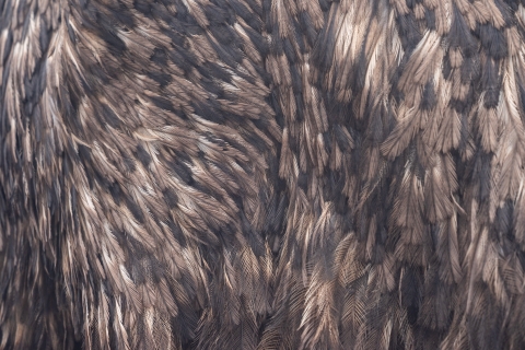 zoo Ralph _DSC2594