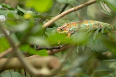 Zoo Feb 2019 von Ramona für Ralph-10
