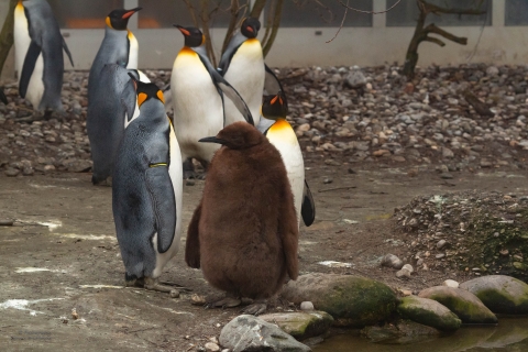 Zoo Feb 2019 von Ramona für Ralph-15
