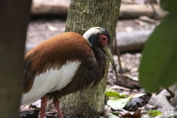 Zoo_Suzanne